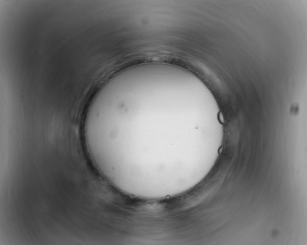 X0000102760217200808180939