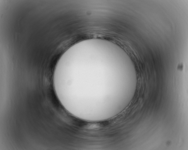 X0000102760218200808180939