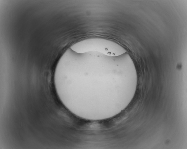 X0000102760219200808180939