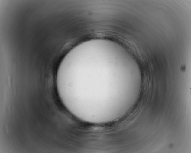 X0000102760220200808180939