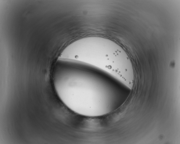 X0000102760221200808180939