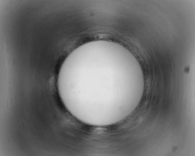 X0000102760222200808180939