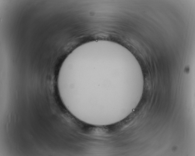 X0000102760223200808180939