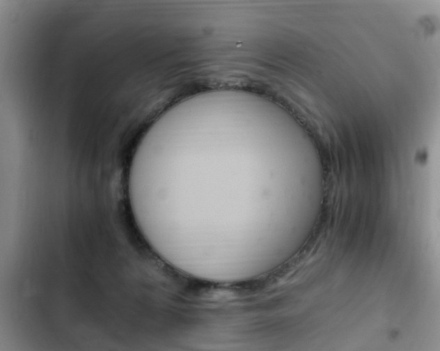 X0000102760224200808180939