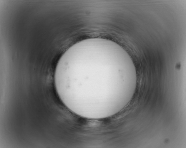 X0000102760226200808180939