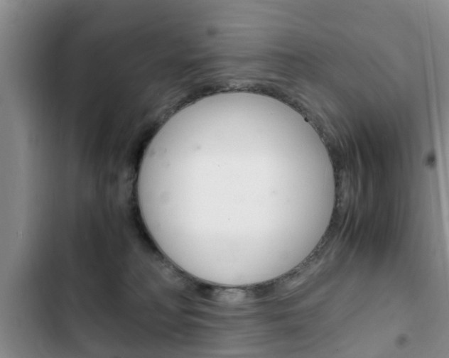X0000102760230200808180939