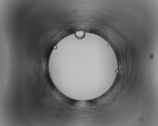X0000102760231200808180939