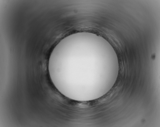 X0000102760232200808180939