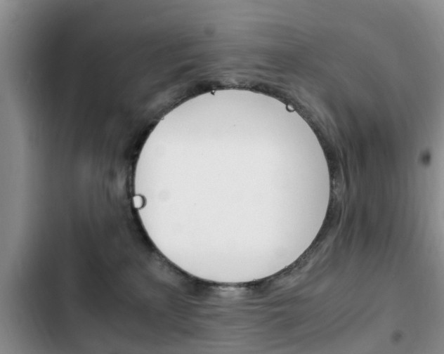 X0000102760233200808180939