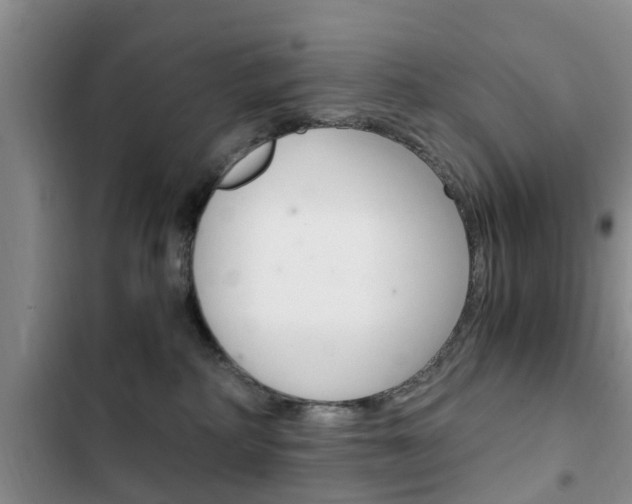 X0000102760234200808180939