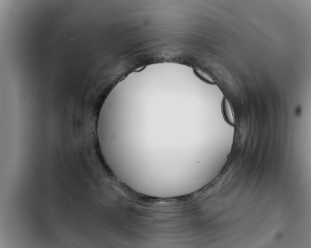 X0000102760236200808180939