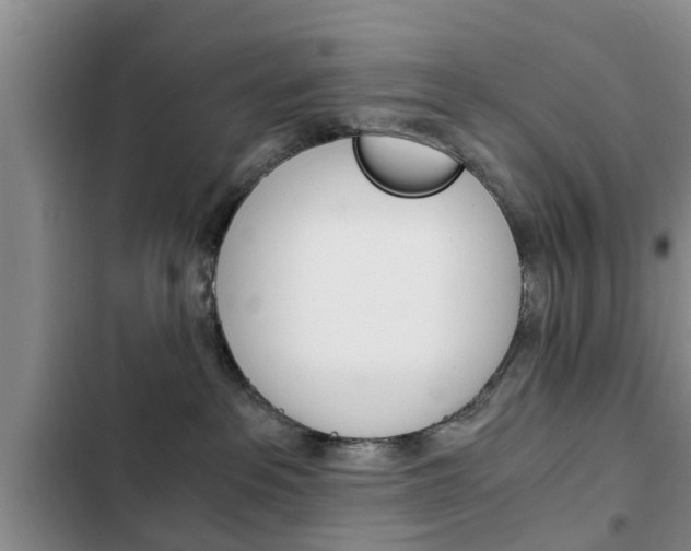 X0000102760237200808180938