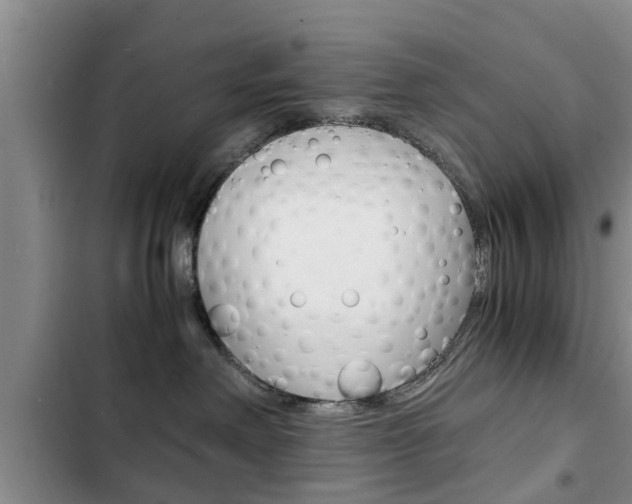 X0000102760238200808180938