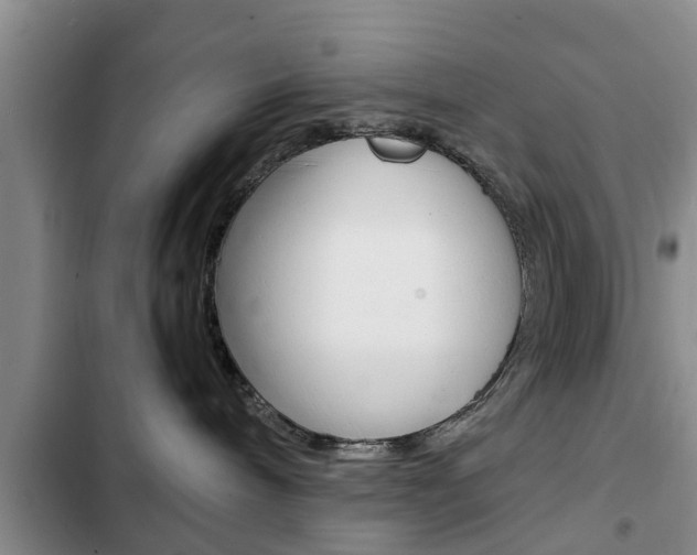 X0000102760240200808180938