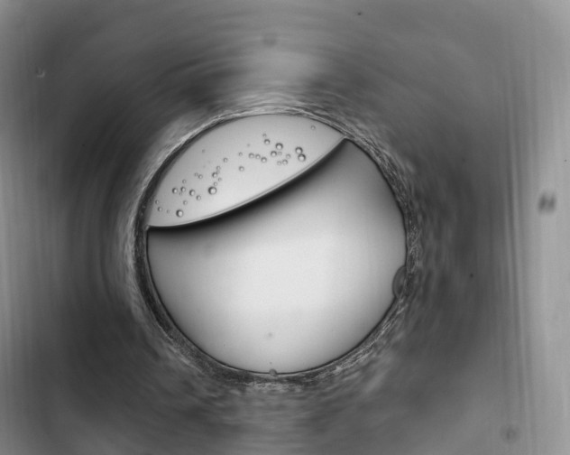 X0000102760242200808180938
