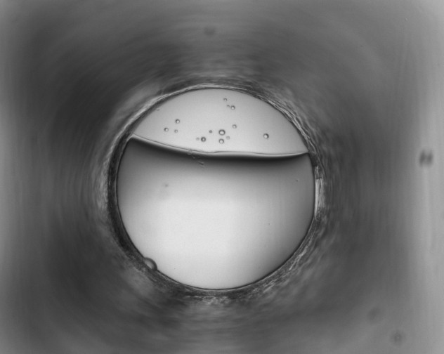 X0000102760243200808180938