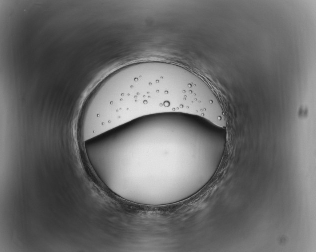 X0000102760244200808180938