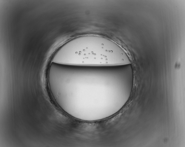X0000102760245200808180938