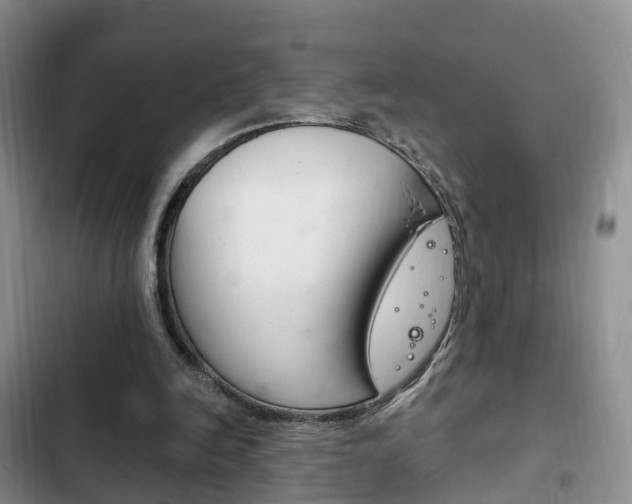 X0000102760246200808180938