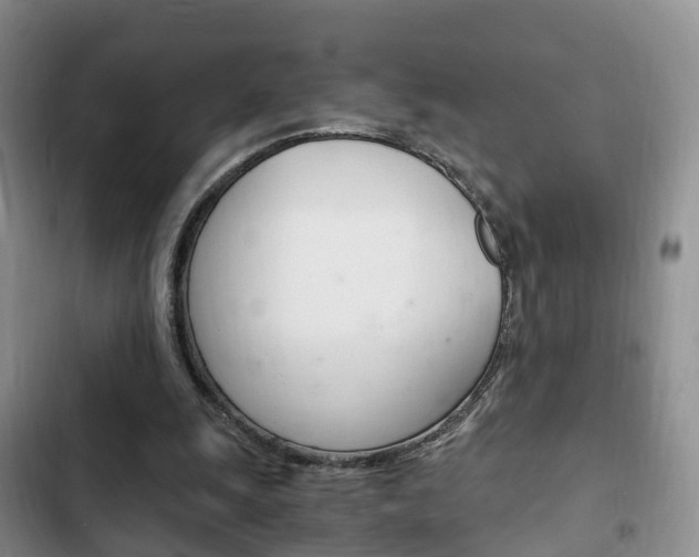 X0000102760247200808180938