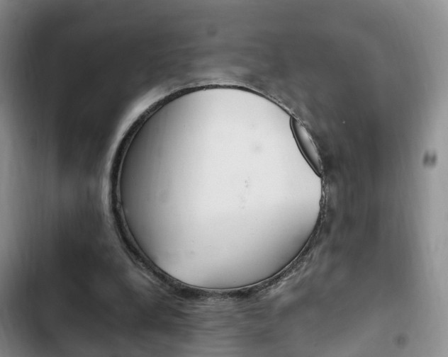 X0000102760248200808180938