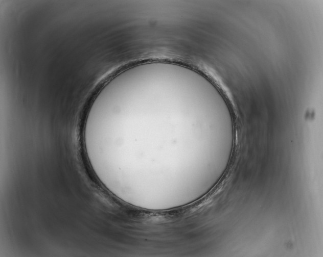 X0000102760249200808180938