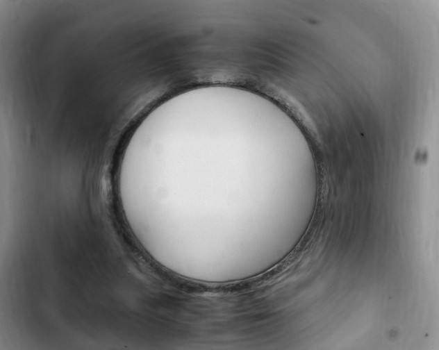 X0000102760251200808180938
