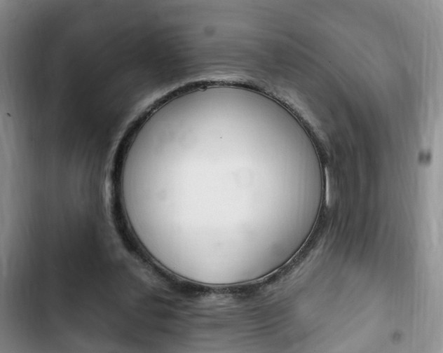 X0000102760252200808180938