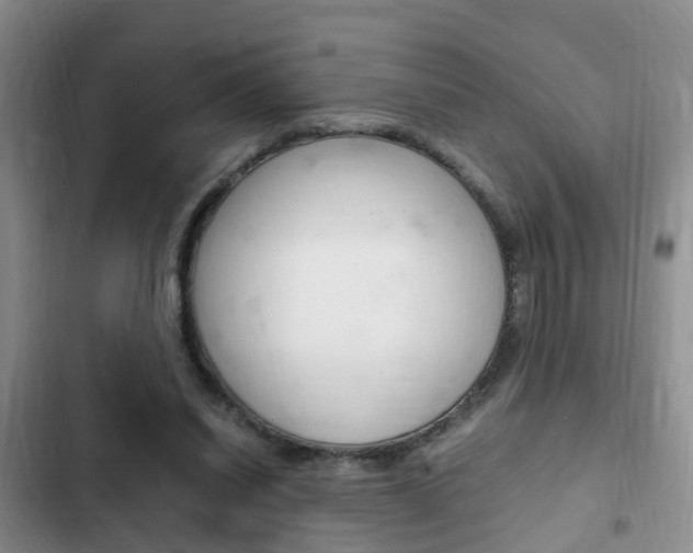 X0000102760254200808180938