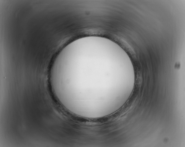 X0000102760255200808180938
