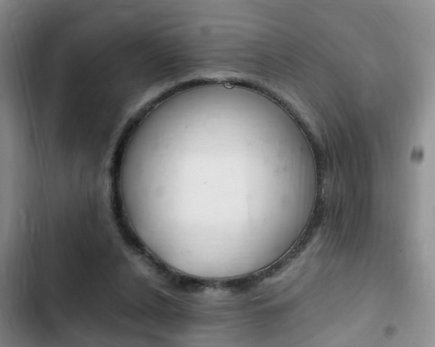 X0000102760256200808180938