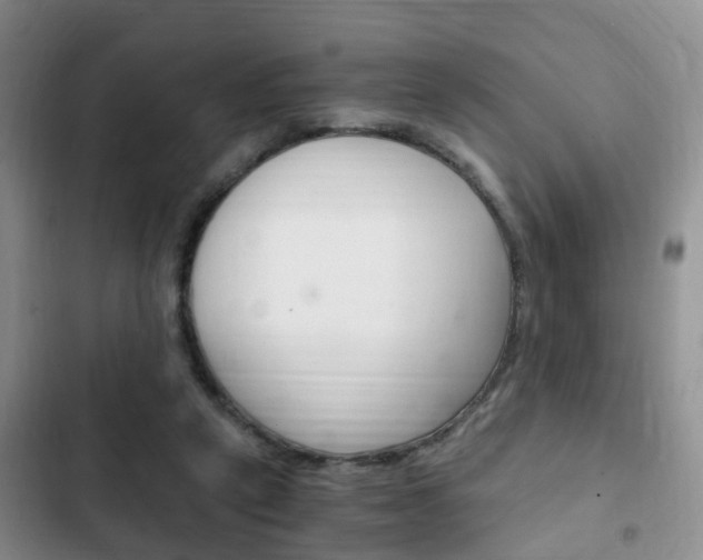 X0000102760257200808180938
