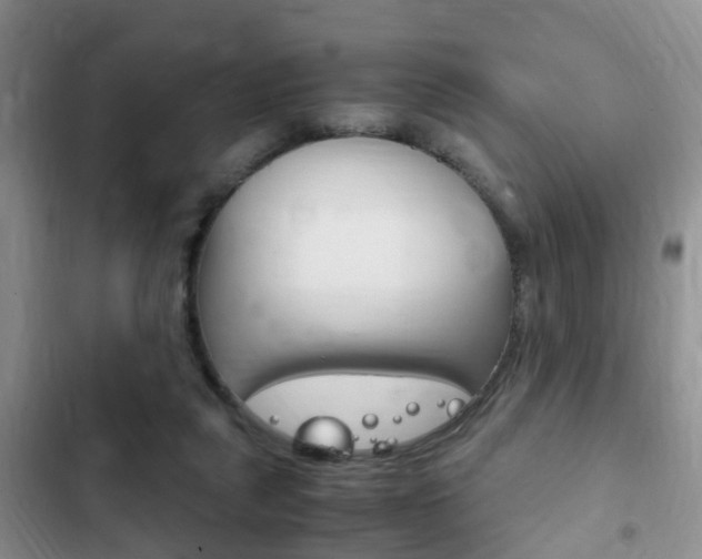 X0000102760259200808180938