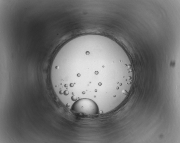 X0000102760260200808180938