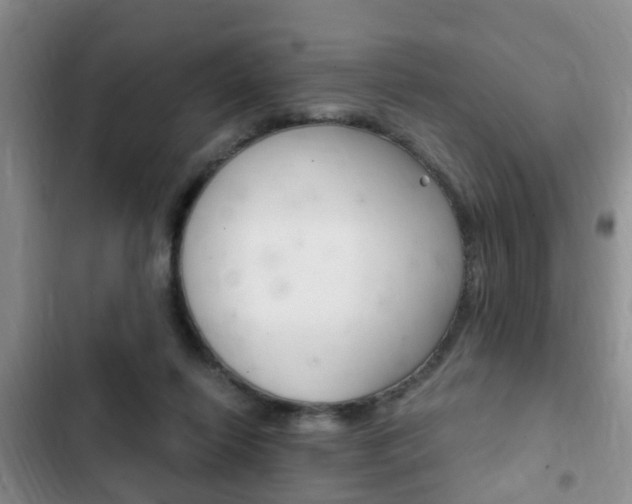 X0000102760262200808180938