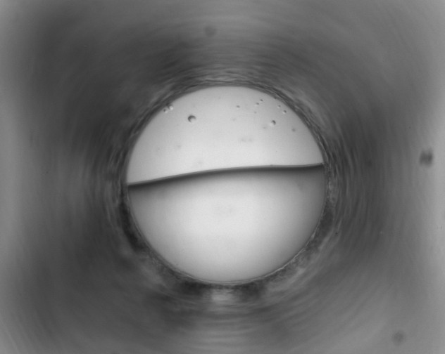 X0000102760264200808180938
