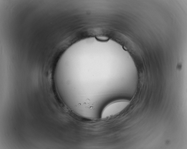 X0000102760267200808180938