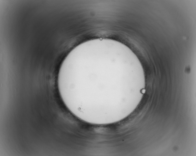 X0000102760268200808180938