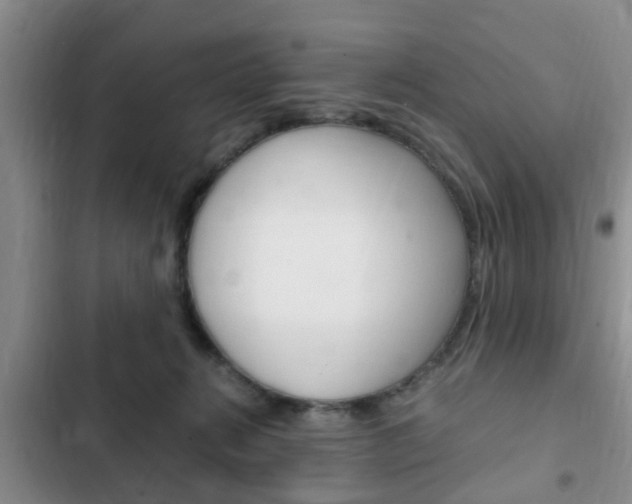 X0000102760270200808180938