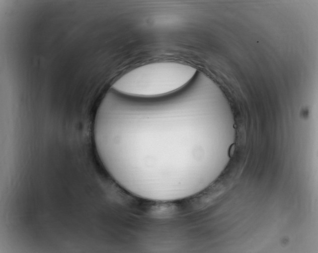 X0000102760274200808180938