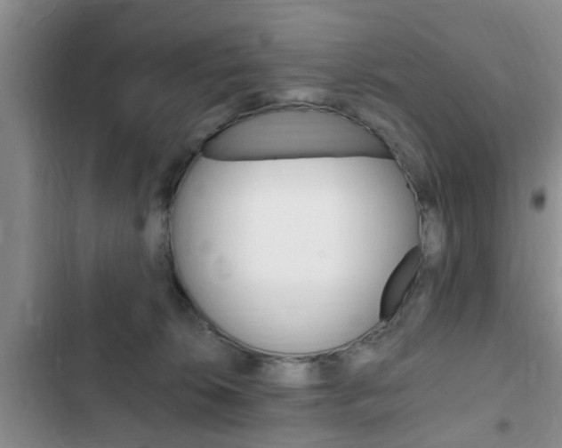 X0000102760276200808180938