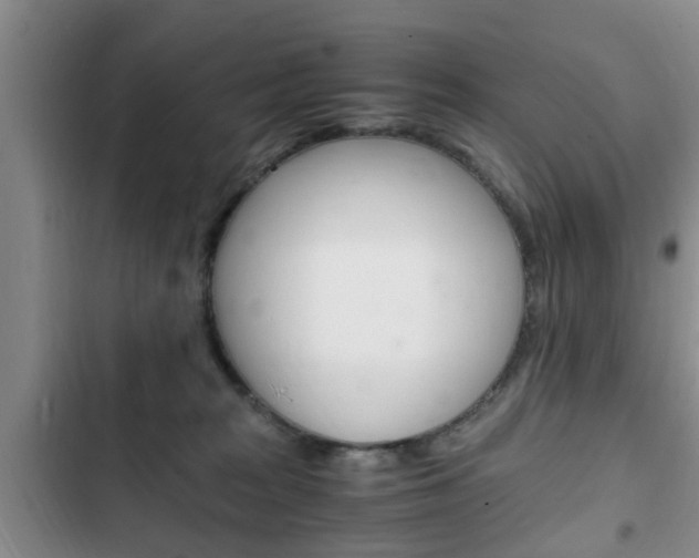 X0000102760277200808180938