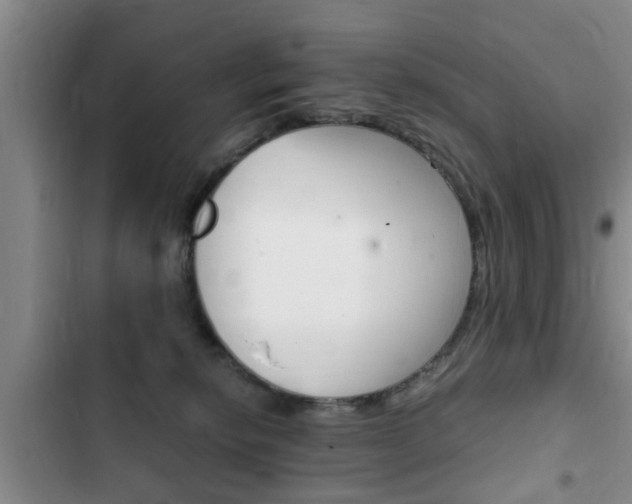 X0000102760278200808180938