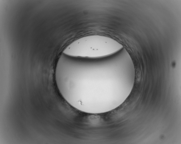 X0000102760279200808180938