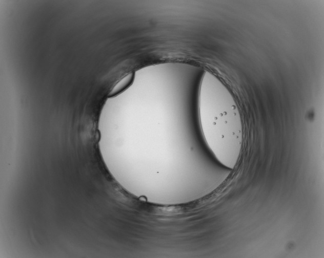 X0000102760281200808180938