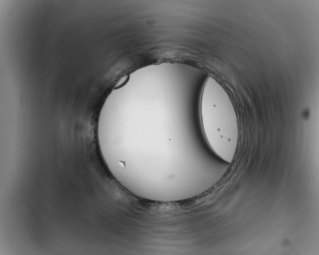 X0000102760282200808180938