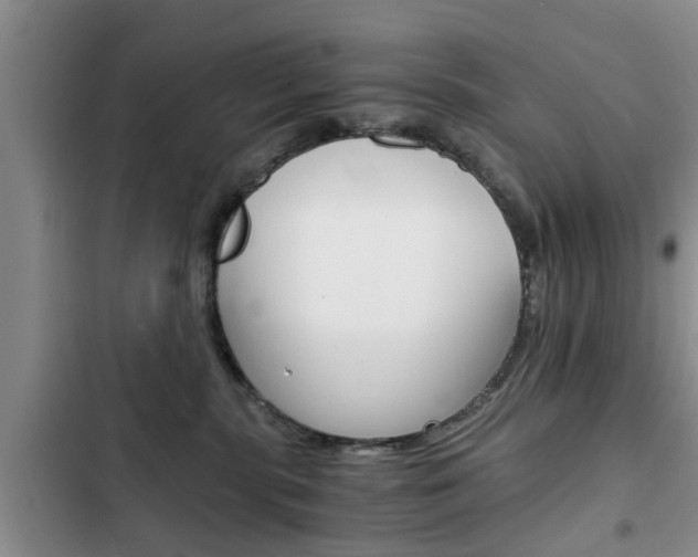 X0000102760283200808180938