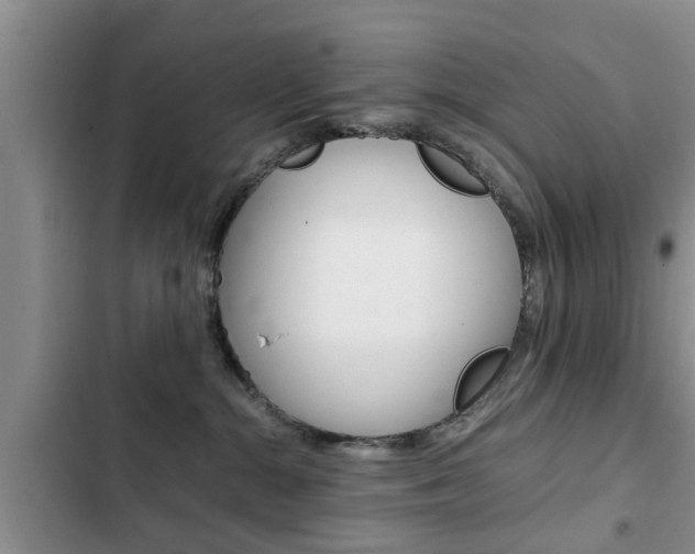 X0000102760284200808180938