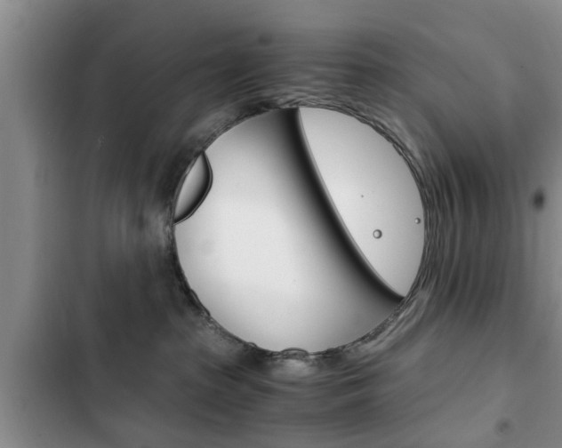 X0000102760285200808180938