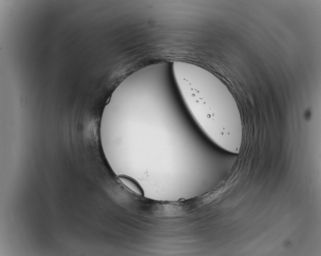 X0000102760286200808180938